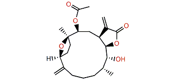 12,13-Bisepiuprolide D acetate